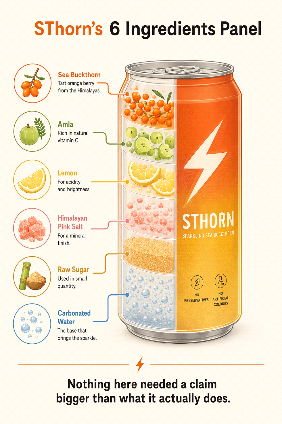 Illustrated cutaway of a SThorn can showing its six ingredients layered inside: sea buckthorn, amla, lemon, Himalayan pink salt, raw sugar, and carbonated water.